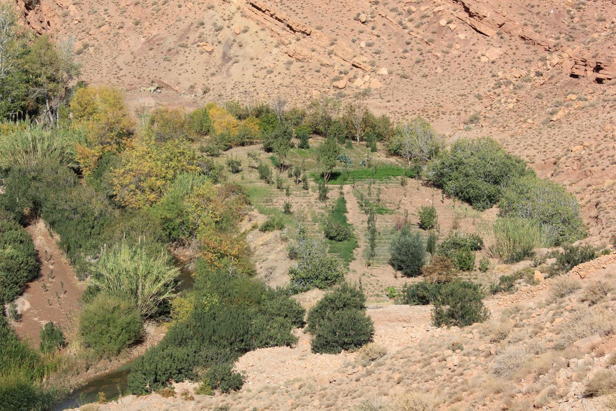 Albergue Kasbah Lucas Akhendachou n'Ait Ouffi Exterior foto